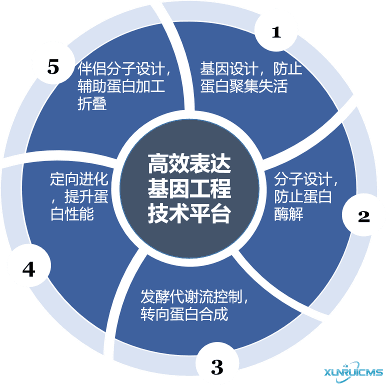 微信图片_20241030101252 微信图片_20241030101252