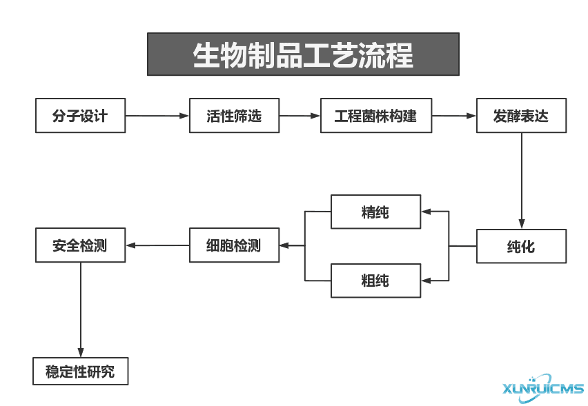 微信图片_20241030101509 微信图片_20241030101509