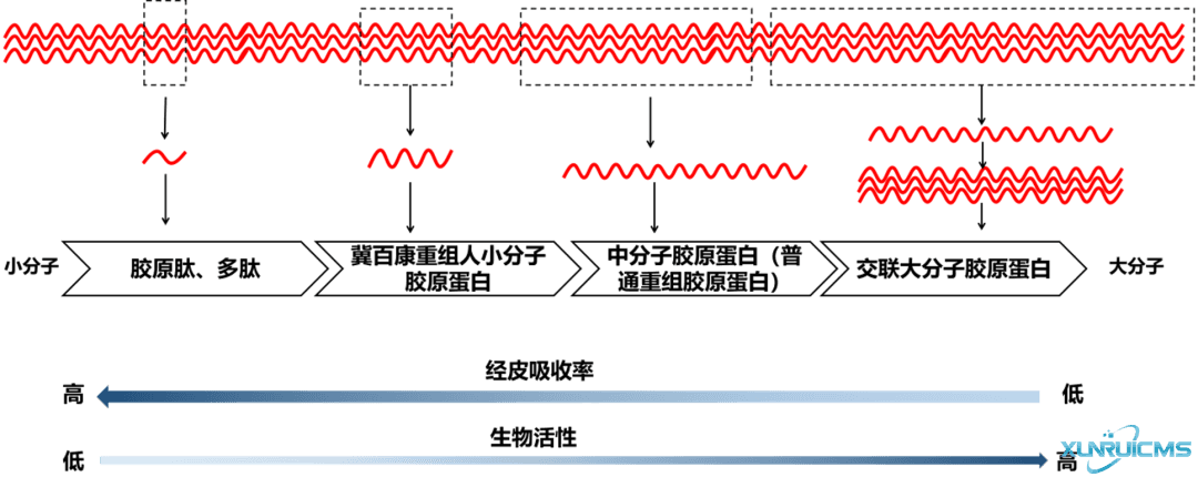 微信图片_20241101134456 微信图片_20241101134456