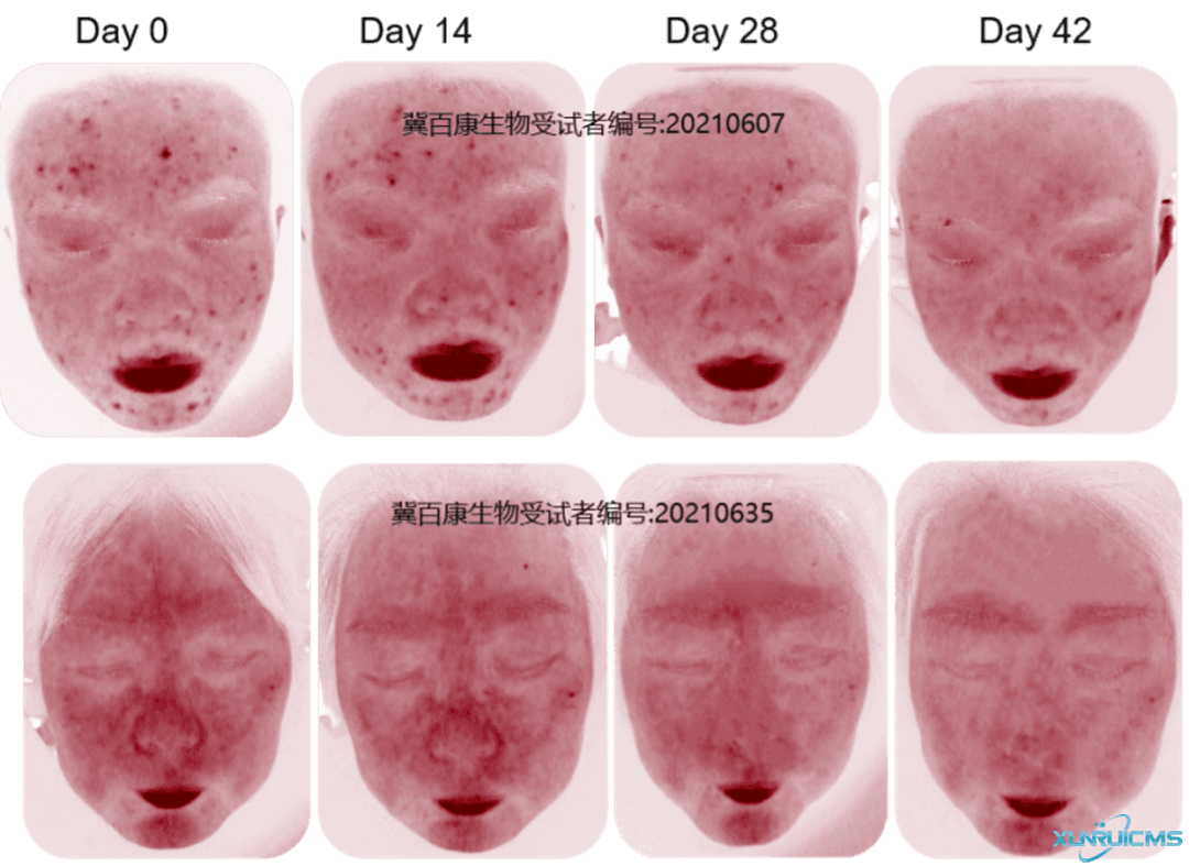 微信图片_20241101134502 微信图片_20241101134502