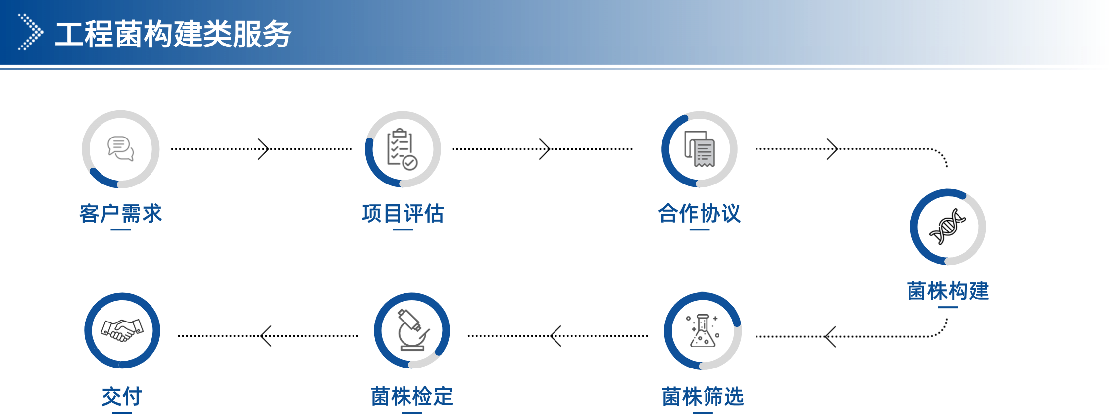 2025版-企业宣传手册最终版