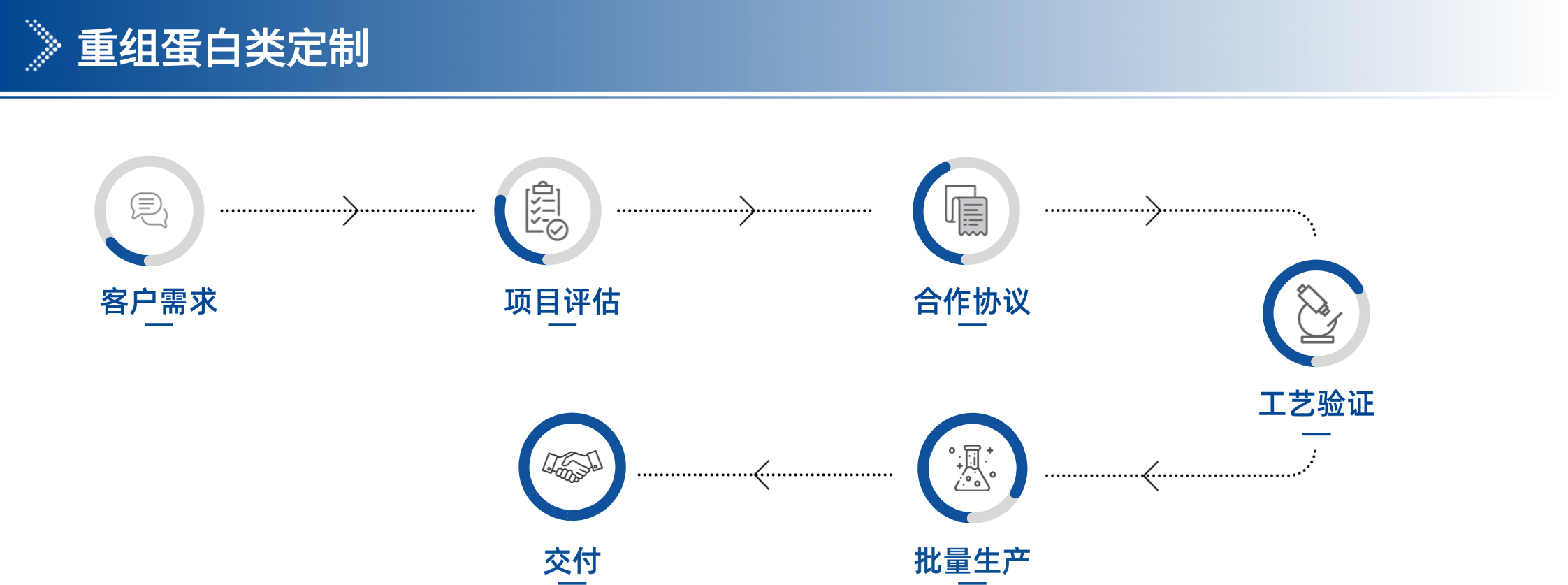 2025版-企业宣传手册最终版 (1)