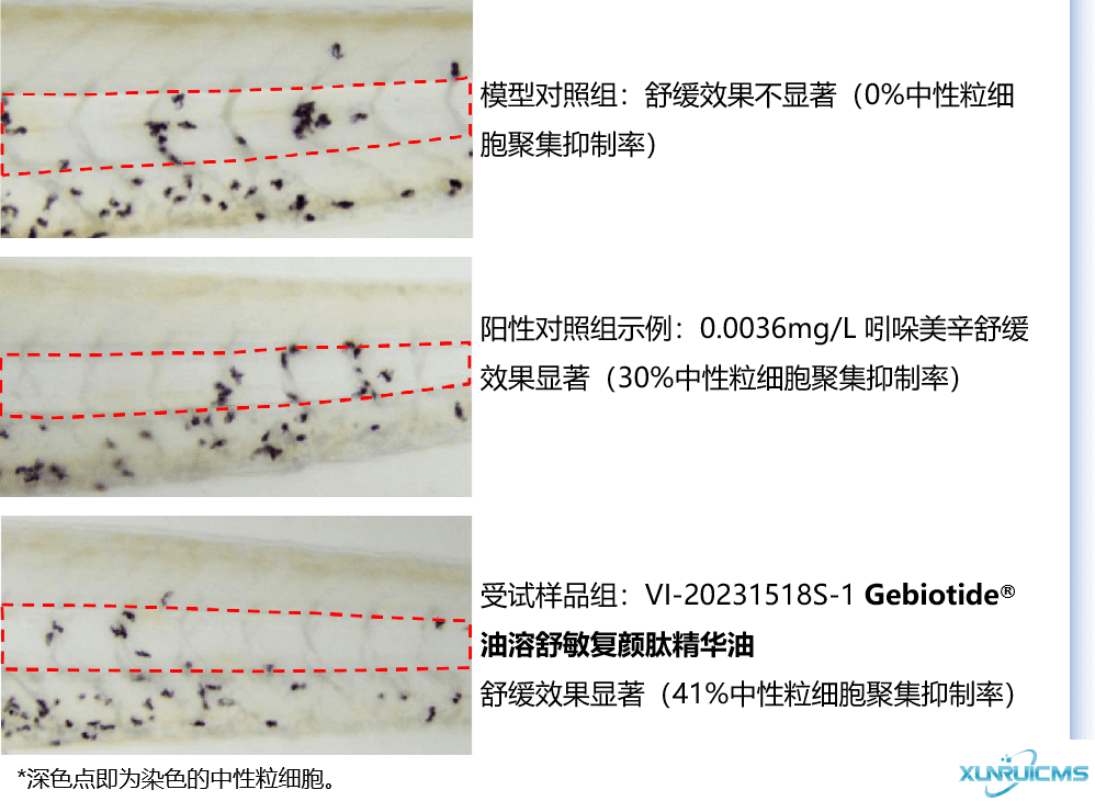 微信图片_20240927172319