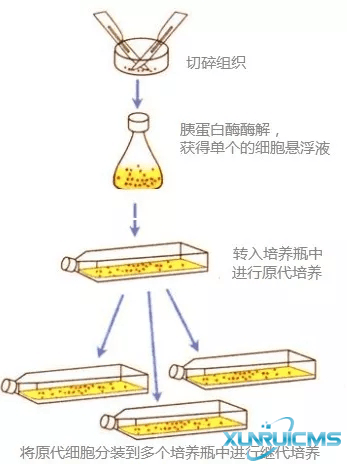 微信图片_20241016153913