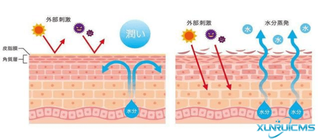 微信图片_20241017155332