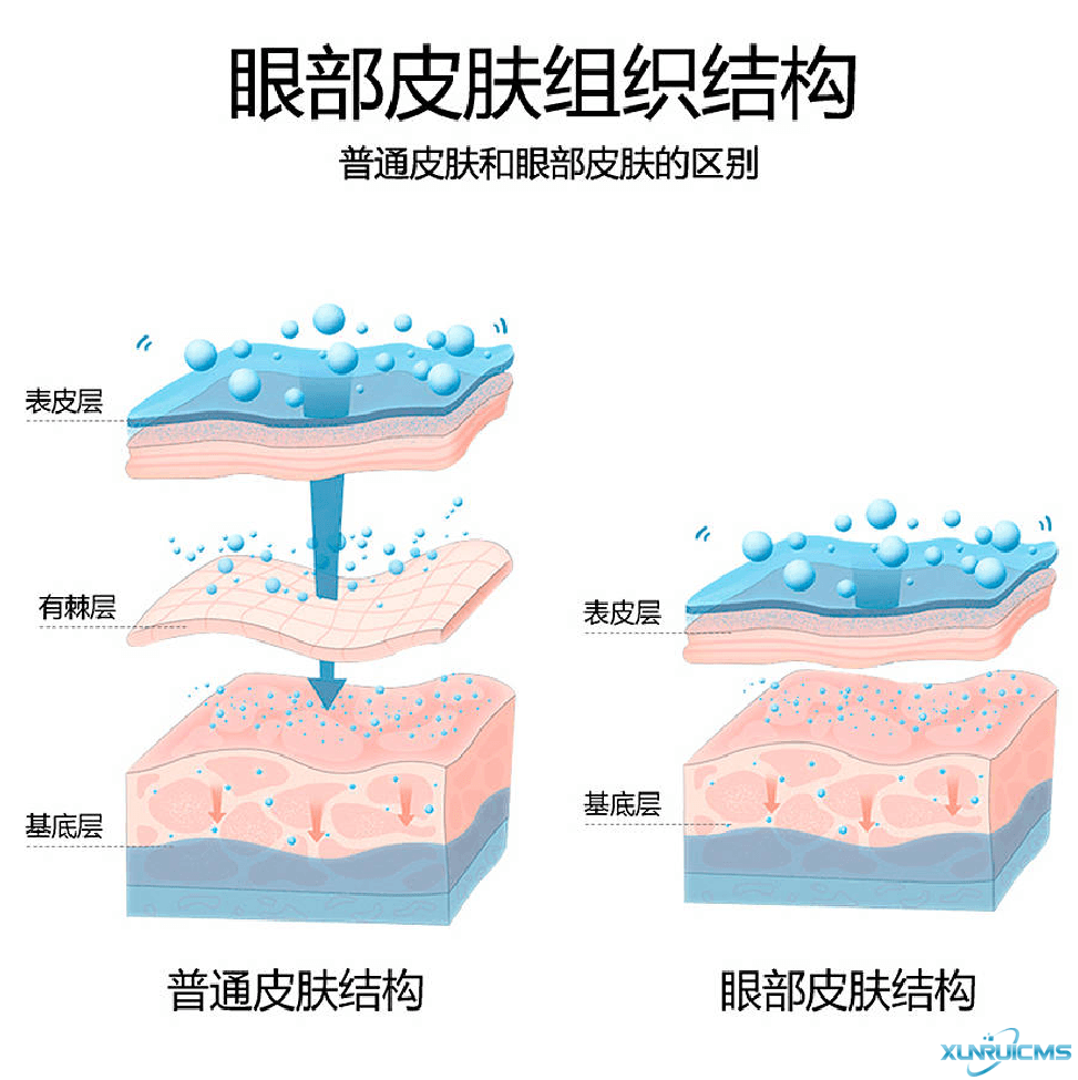 微信图片_20241022100739