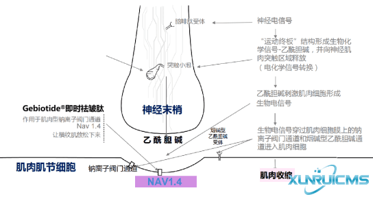 微信图片_20241022104754