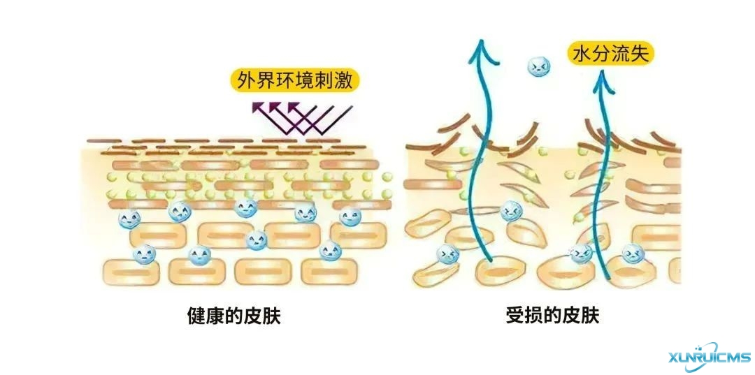 微信图片_20241022163958