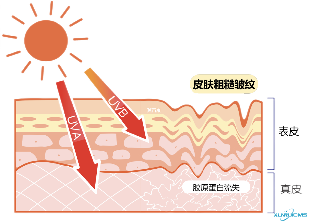 微信图片_20241023134001