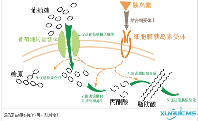 微信图片_20241023143030