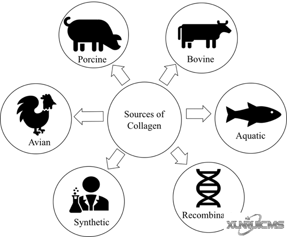 微信图片_20241023160825