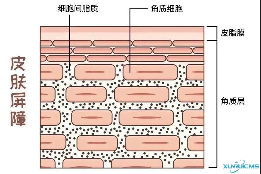 微信图片_20241024100636