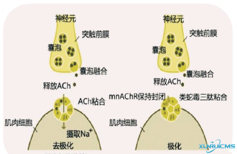 微信图片_20241024151228