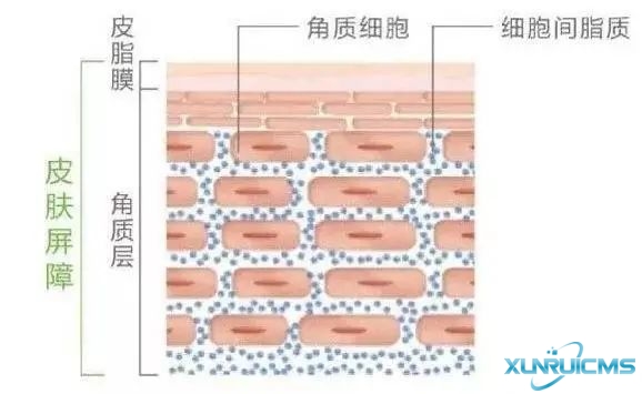 微信图片_20241024163840