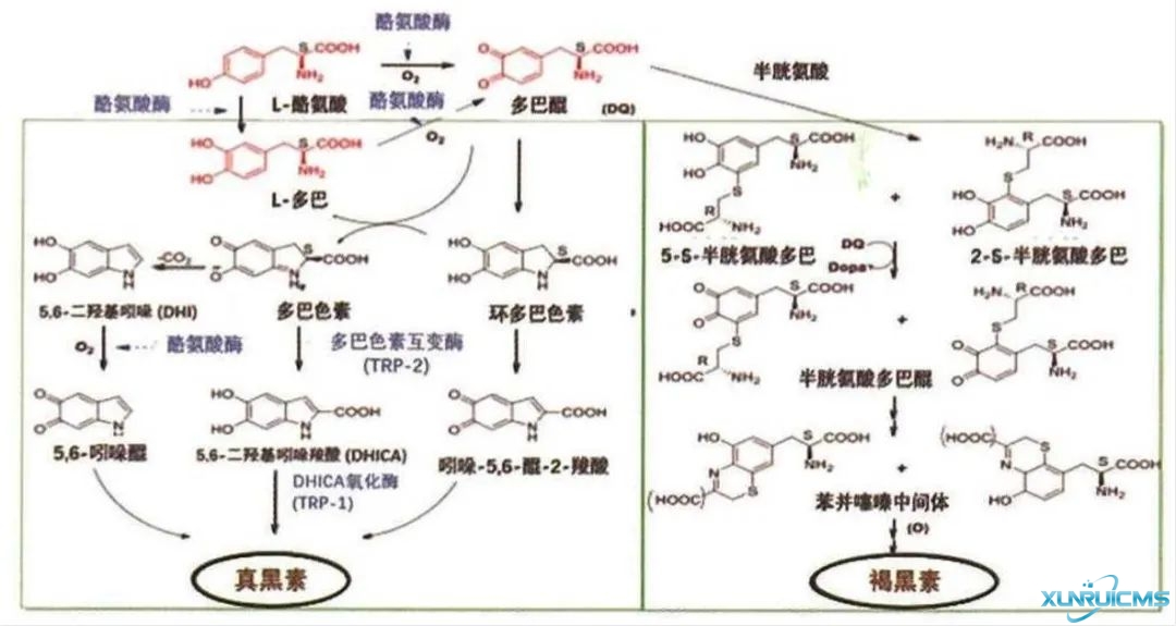 微信图片_20241024172030