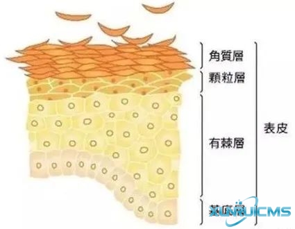 微信图片_20241024173052