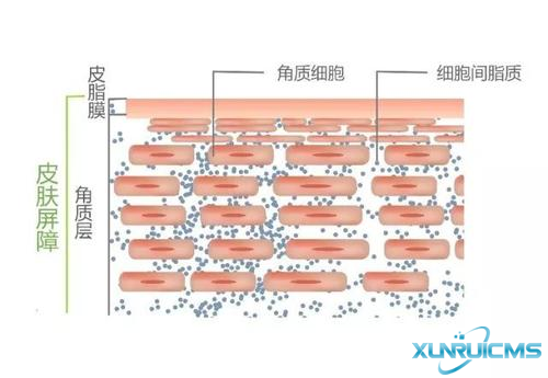 微信图片_20241024173100