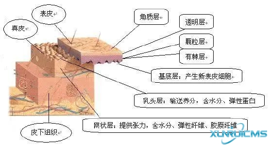 微信图片_20241024173118