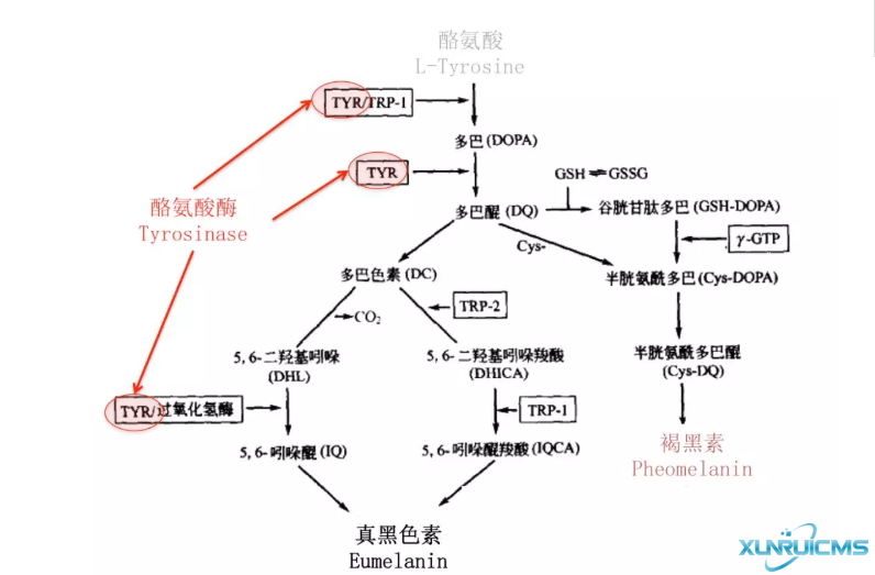 微信图片_20241024211626