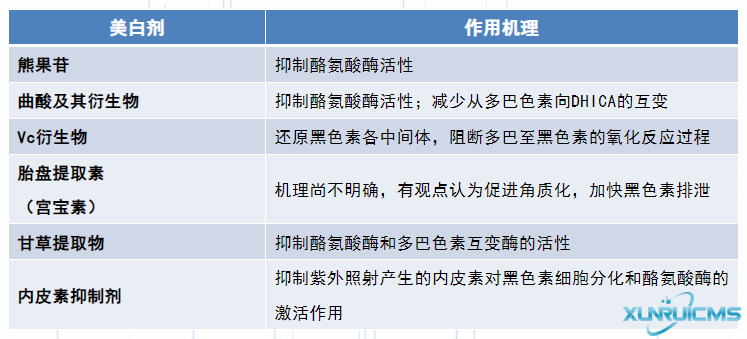 微信图片_20241029084414