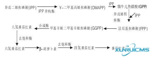 微信图片_20241029110056