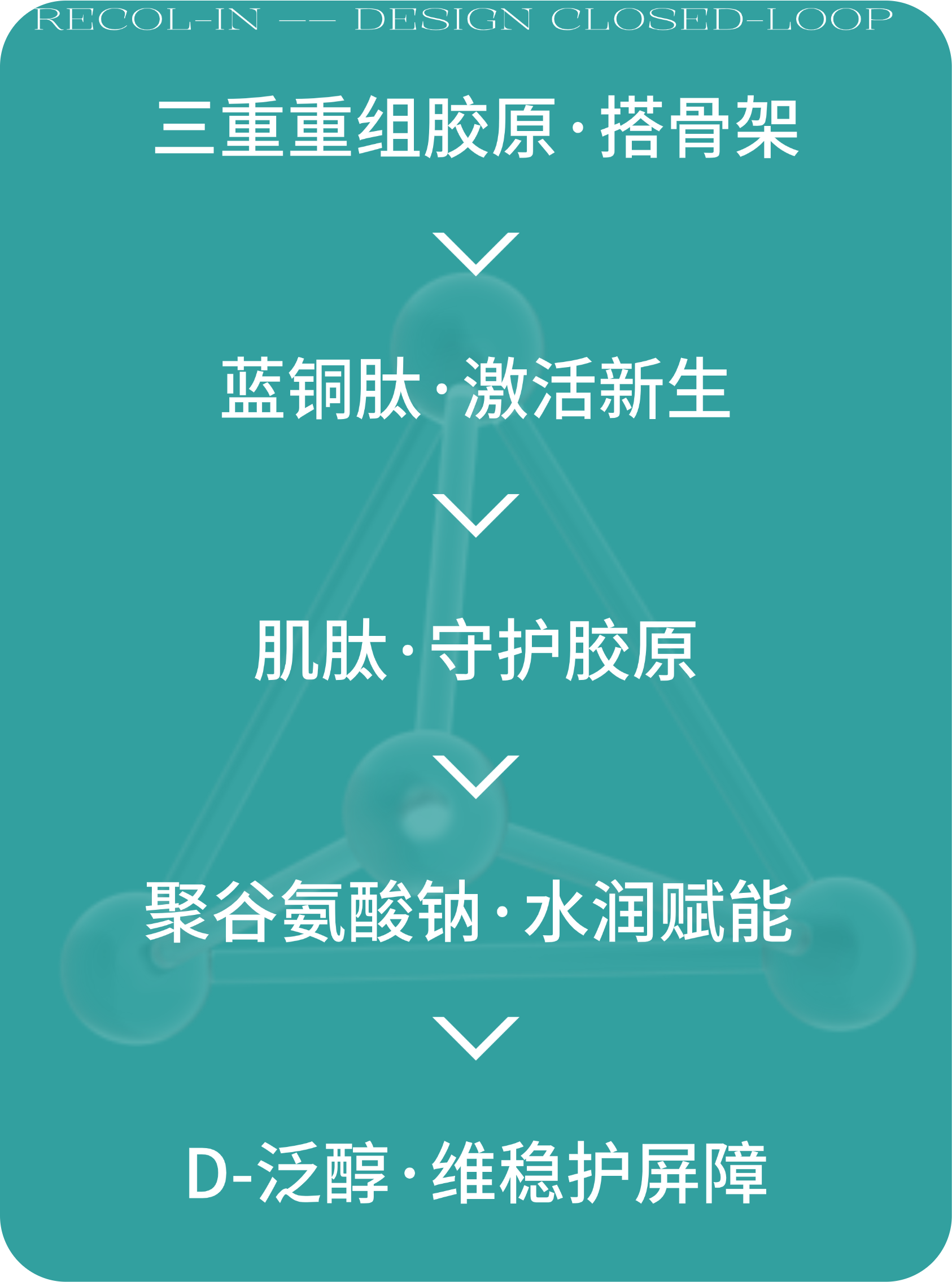 未命名(1) (13)
